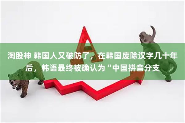 淘股神 韩国人又破防了，在韩国废除汉字几十年后，韩语最终被确认为“中国拼音分支