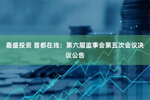 嘉盛投资 首都在线：第六届监事会第五次会议决议公告
