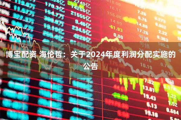 博宝配资 海伦哲：关于2024年度利润分配实施的公告