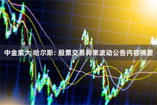 中金宸大 哈尔斯: 股票交易异常波动公告内容摘要