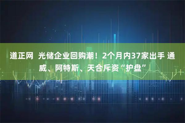 道正网  光储企业回购潮！2个月内37家出手 通威、阿特斯、天合斥资“护盘”
