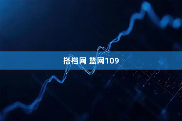 搭档网 篮网109