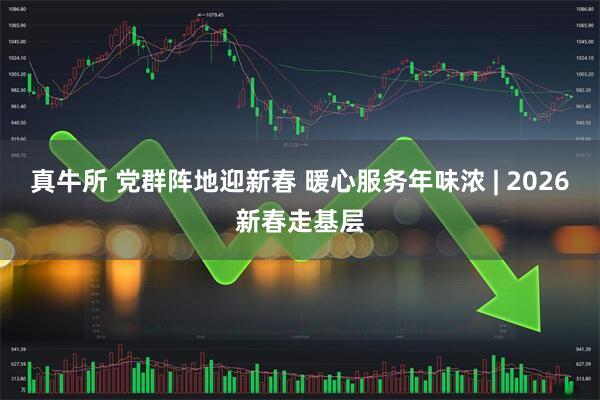 真牛所 党群阵地迎新春 暖心服务年味浓 | 2026新春走基层