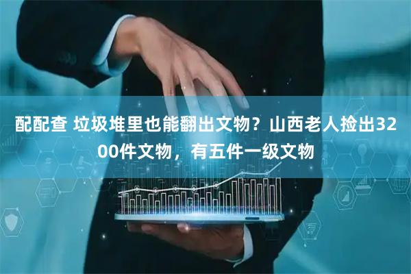 配配查 垃圾堆里也能翻出文物？山西老人捡出3200件文物，有五件一级文物