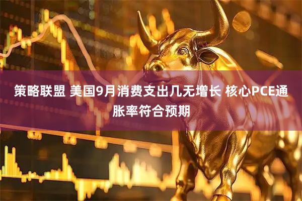 策略联盟 美国9月消费支出几无增长 核心PCE通胀率符合预期